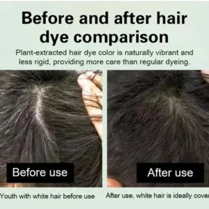 Japanese Hair Dye Shampoo 100ML